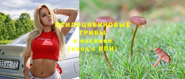 ECSTASY Арсеньев