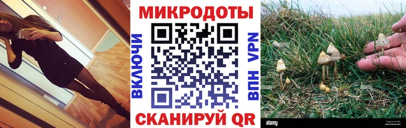 ссылка на мегу вход  Вольск  Псилоцибиновые грибы MAGIC MUSHROOMS 